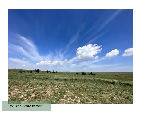 夸尔塔中卫风格保持稳定，值得关注其未来表现的走势。